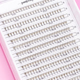 4D 0.07 Perfect Point Fans™ 675 Fans