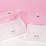 Acrylic Storage