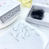 6D 0.05 Loose Pro-Made Fans