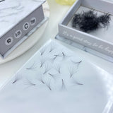 6D 0.05 Loose Pro-Made Fans