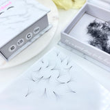 6D 0.05 Loose Pro-Made Fans